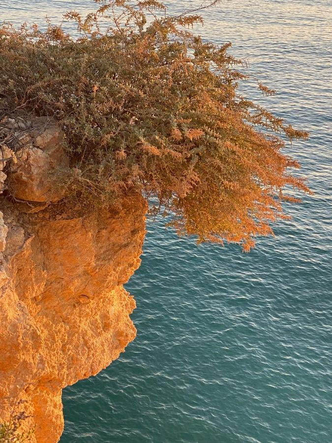 شقة Carvoeiro Sol Seafront المظهر الخارجي الصورة